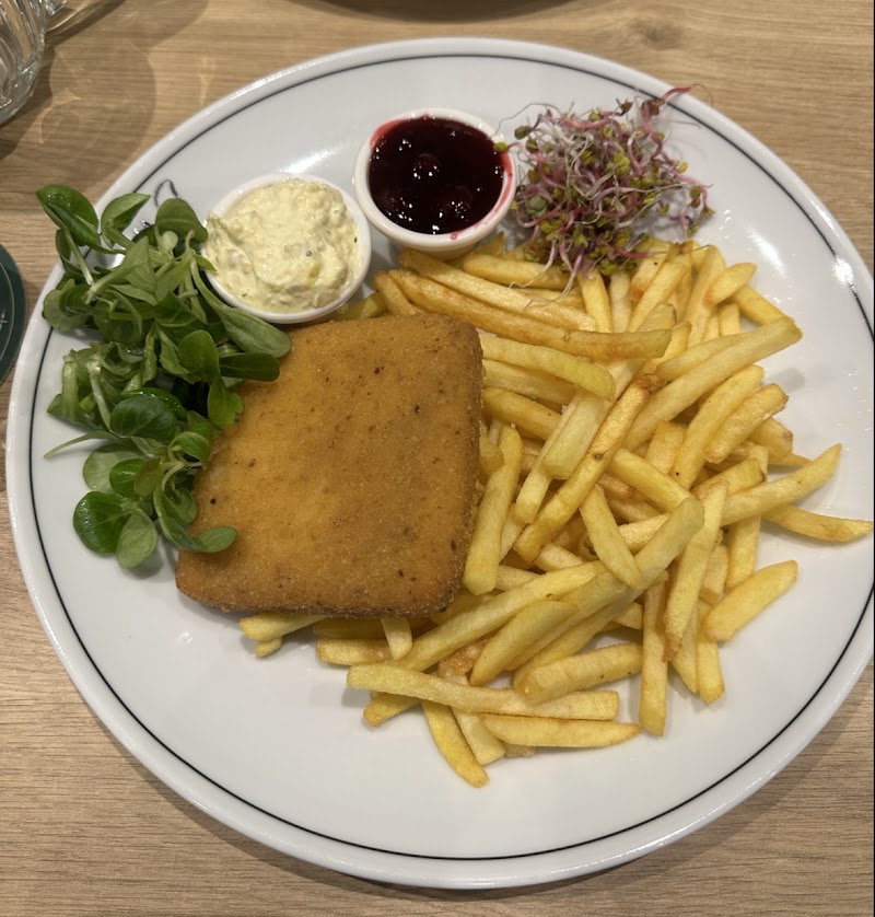 Restauracja Drevny Kocur Rynek Wrocław